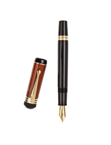 Montblanc » Fountain Pen Friedrich Schiller (Limited Writers Edition)