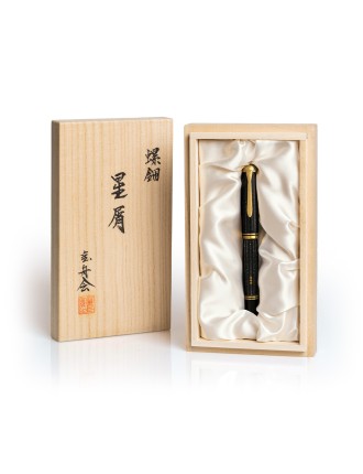 Pelikan Penna Stilografica Raden M1000 Stardust Hoshikuzu Edizione Limitata - Vendita Online - Lazzaroni Penne